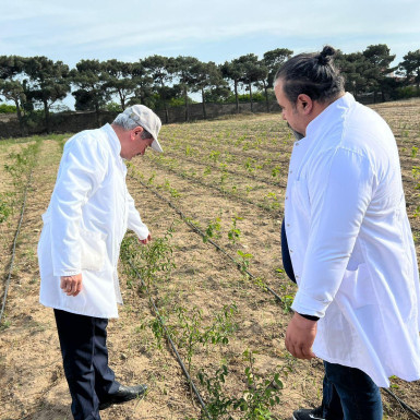 “AZCHEMCO” və Abşeron Təcrübə Stansiyasının əməkdaşlığı ilə hazırlanmış yeni dövlət standartı qəbul edilib