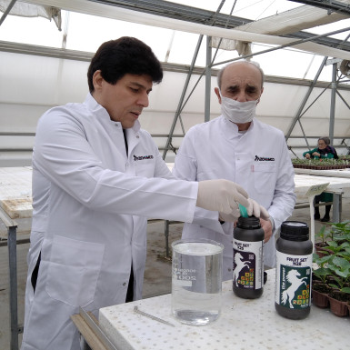 Liquid fertilizers of Azerbaijan’s AZCHEMCO LLC applied in experiments at Scientific Research Institute of Agriculture Ministry