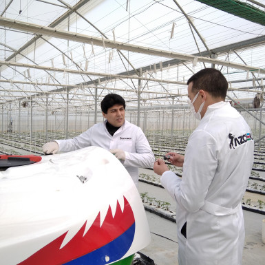 Liquid fertilizers of Azerbaijan’s AZCHEMCO LLC applied in experiments at Scientific Research Institute of Agriculture Ministry