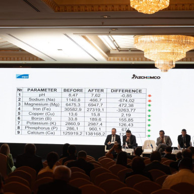 Азербайджанская компания AZCHEMCO презентовала свои проекты на конференции Argus в Стамбуле