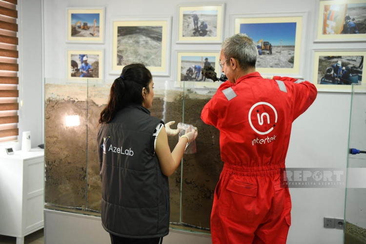 Innovative project to revive saline soils in Azerbaijan prepares for COP29 debut